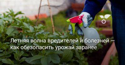 Летняя волна вредителей и болезней — как обезопасить урожай заранее - botanichka.ru
