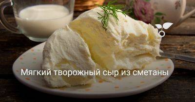 Мягкий творожный сыр из сметаны - botanichka.ru