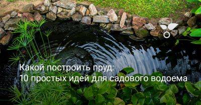 Какой построить пруд: 10 простых идей для садового водоема - botanichka.ru