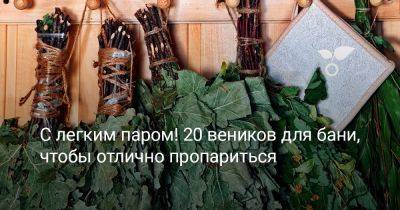 С легким паром! 20 веников для бани, чтобы отлично пропариться - botanichka.ru - Русь