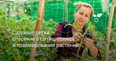 Садовые сетки — спасение от птиц, солнца и травмирования растений - botanichka.ru