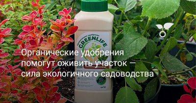 Органические удобрения помогут оживить участок — сила экологичного садоводства - botanichka.ru