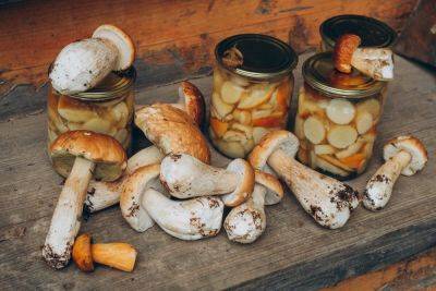 Как приготовить грибы на зиму в банках – 3 универсальных рецепта - ogorod.ru