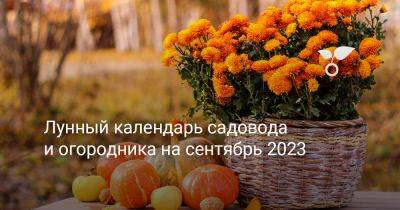 Лунный календарь садовода и огородника на сентябрь 2023 - botanichka.ru