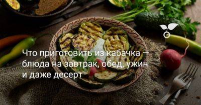 Что приготовить из кабачка — блюда на завтрак, обед, ужин и даже десерт - botanichka.ru