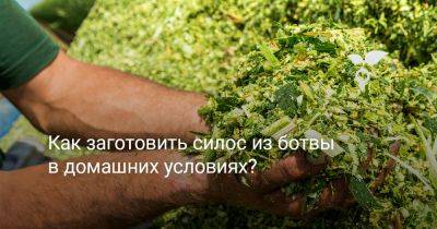 Как заготовить силос из ботвы в домашних условиях? - botanichka.ru