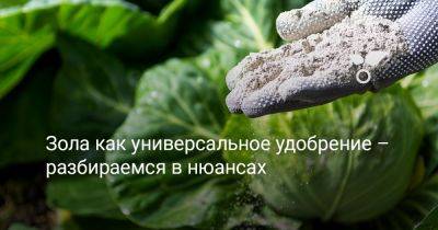 Зола как универсальное удобрение — разбираемся в нюансах - botanichka.ru
