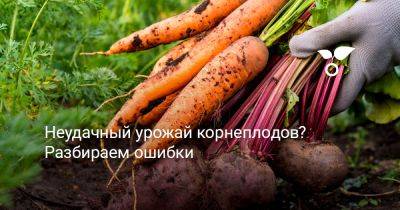 Неудачный урожай корнеплодов? Разбираем ошибки - botanichka.ru