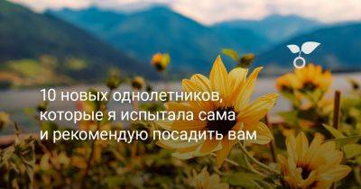 10 новых однолетников, которые я испытала сама и рекомендую посадить вам - botanichka.ru