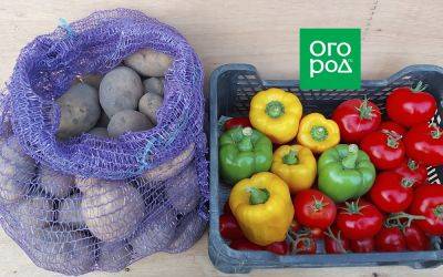 Ящики, коробки, мешки – в чем лучше всего хранится урожай - ogorod.ru