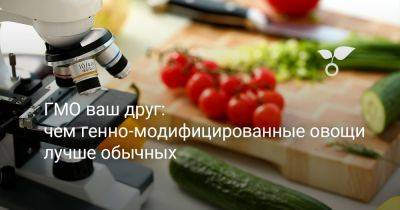 ГМО ваш друг: чем генно-модифицированные овощи лучше обычных - botanichka.ru
