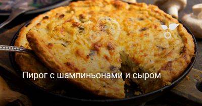 Пирог с шампиньонами и сыром - botanichka.ru