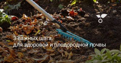 3 важных шага для здоровой и плодородной почвы - botanichka.ru
