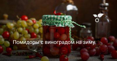Помидоры с виноградом на зиму - botanichka.ru - г. Виноград