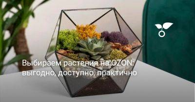 Выбираем растения на OZON: выгодно, доступно, практично - botanichka.ru