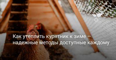 Как утеплить курятник к зиме — надежные методы доступные каждому - botanichka.ru