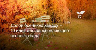 Долой осеннюю хандру — 10 идей для вдохновляющего осеннего сада - botanichka.ru