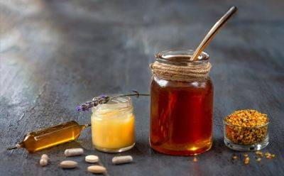 Чем полезны продукты пчеловодства: мед, перга, прополис, забрус, маточное молочко - ogorod.ru