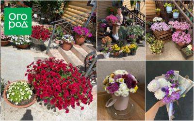 Как превратить хобби в цветочный бизнес и стать популярным блогером - ogorod.ru