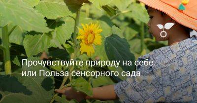 Прочувствуйте природу на себе, или Польза сенсорного сада - botanichka.ru - Китай