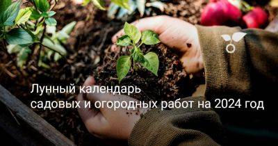 Лунный календарь садовых и огородных работ на 2024 год - botanichka.ru