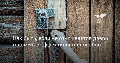 Как быть, если не открывается дверь в домик: 5 эффективных способов - botanichka.ru