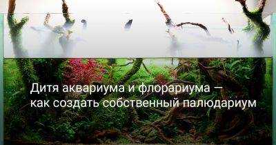 Дитя аквариума и флорариума — как создать собственный палюдариум - botanichka.ru