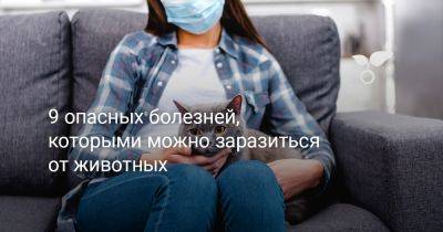 9 опасных болезней, которыми можно заразиться от животных - botanichka.ru