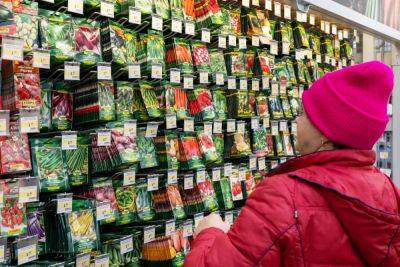 Садовые центры зимой: что можно купить, а что категорически не рекомендуется - ogorod.ru