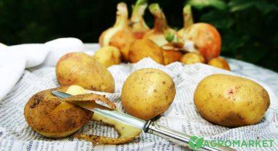 Картофельные очистки, как удобрение - agro-market.net