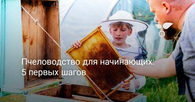 Пчеловодство для начинающих: 5 первых шагов - botanichka.ru - Греция - Египет