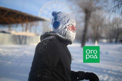 Что делать при сильных морозах: вспоминаем правила поведения - ogorod.ru
