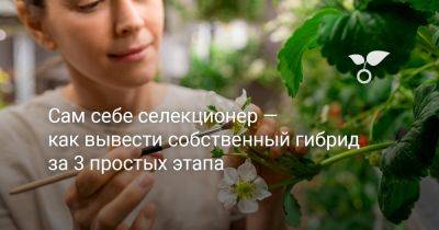 Сам себе селекционер — как вывести собственный гибрид за 3 простых этапа - botanichka.ru