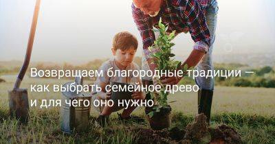 Возвращаем благородные традиции — как выбрать семейное древо и для чего оно нужно - botanichka.ru