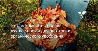 Готовь компост с осени: лучшее время для заготовки органического удобрения - botanichka.ru