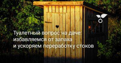 Туалетный вопрос на даче: избавляемся от запаха и ускоряем переработку стоков - botanichka.ru