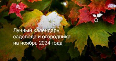 Лунный календарь садовода и огородника на ноябрь 2024 года - botanichka.ru