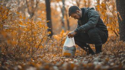 Органическое удобрение: как и зачем удобрять почву осенью - orchardo.ru