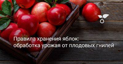 Правила хранения яблок: обработка урожая от плодовых гнилей - botanichka.ru