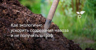 Как экологично ускорить созревания навоза и не получить штраф - botanichka.ru