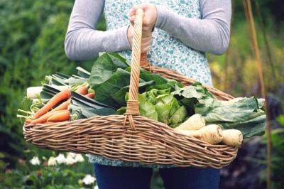 Овощи для похудения – выращиваем сами - ogorod.ru