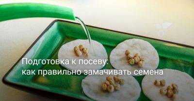 Подготовка к посеву: как правильно замачивать семена - botanichka.ru