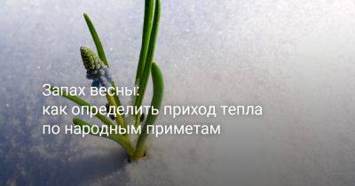 Запах весны: как определить приход тепла по народным приметам - botanichka.ru