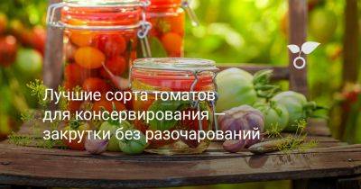 Лучшие сорта томатов для консервирования — закрутки без разочарований - botanichka.ru