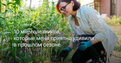 10 многолетников, которые меня приятно удивили в прошлом сезоне - botanichka.ru