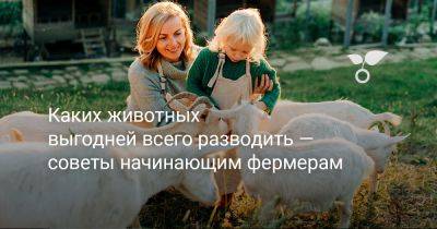 Каких животных выгодней всего разводить — cоветы начинающим фермерам - botanichka.ru
