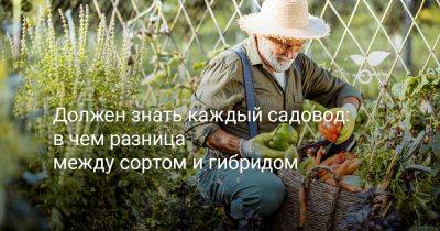 Должен знать каждый садовод: в чем разница между сортом и гибридом - botanichka.ru