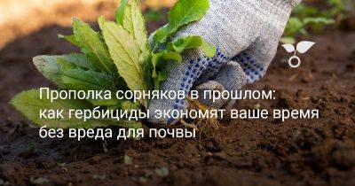 Прополка сорняков в прошлом: как гербициды экономят ваше время без вреда для почвы - botanichka.ru