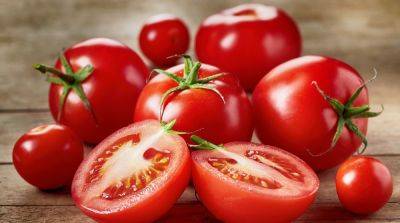 Как выбрать семена томатов для получения качественного урожая? - sadogorod.club