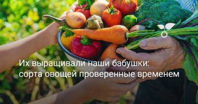 Их выращивали наши бабушки: сорта овощей проверенные временем - botanichka.ru - Молдавия